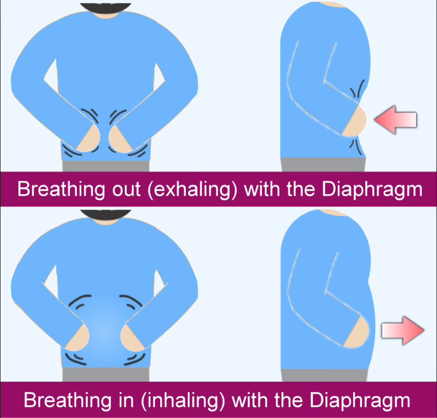 Breathing for the Professional - Learn how to do it the proper way - Dr ...